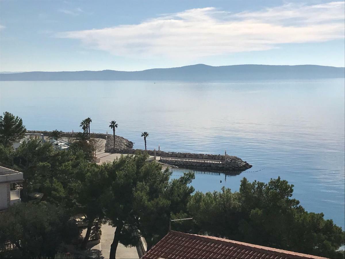 Villa Viden Apartments Тучепи Экстерьер фото